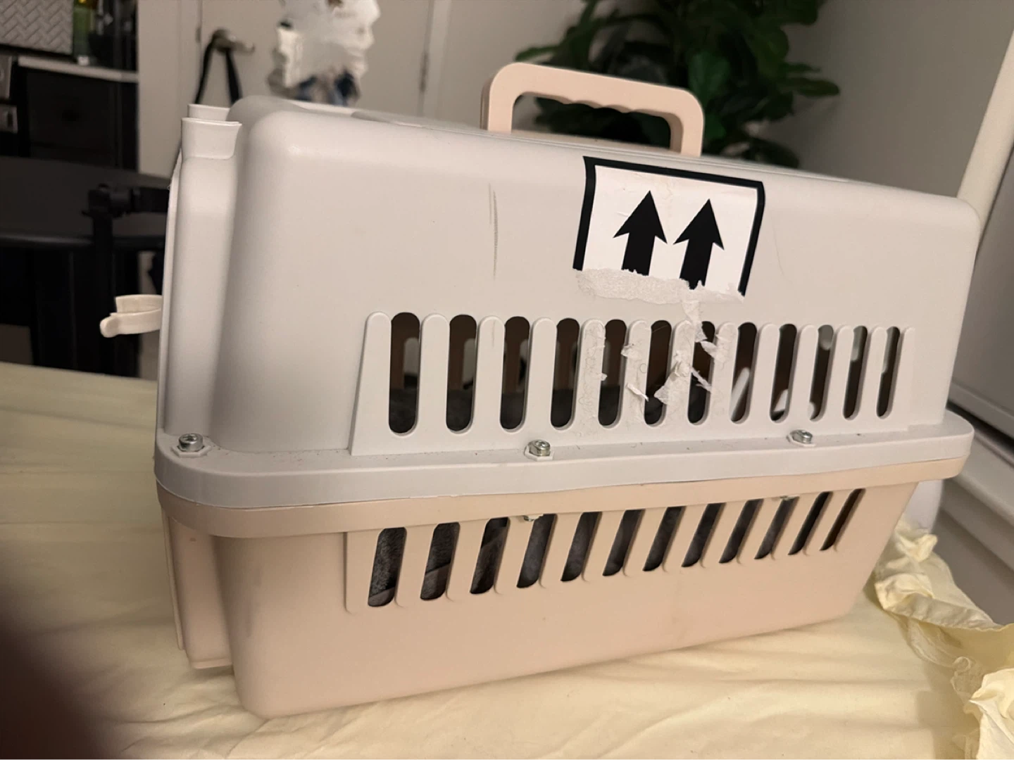 Pet Carrier Crate
