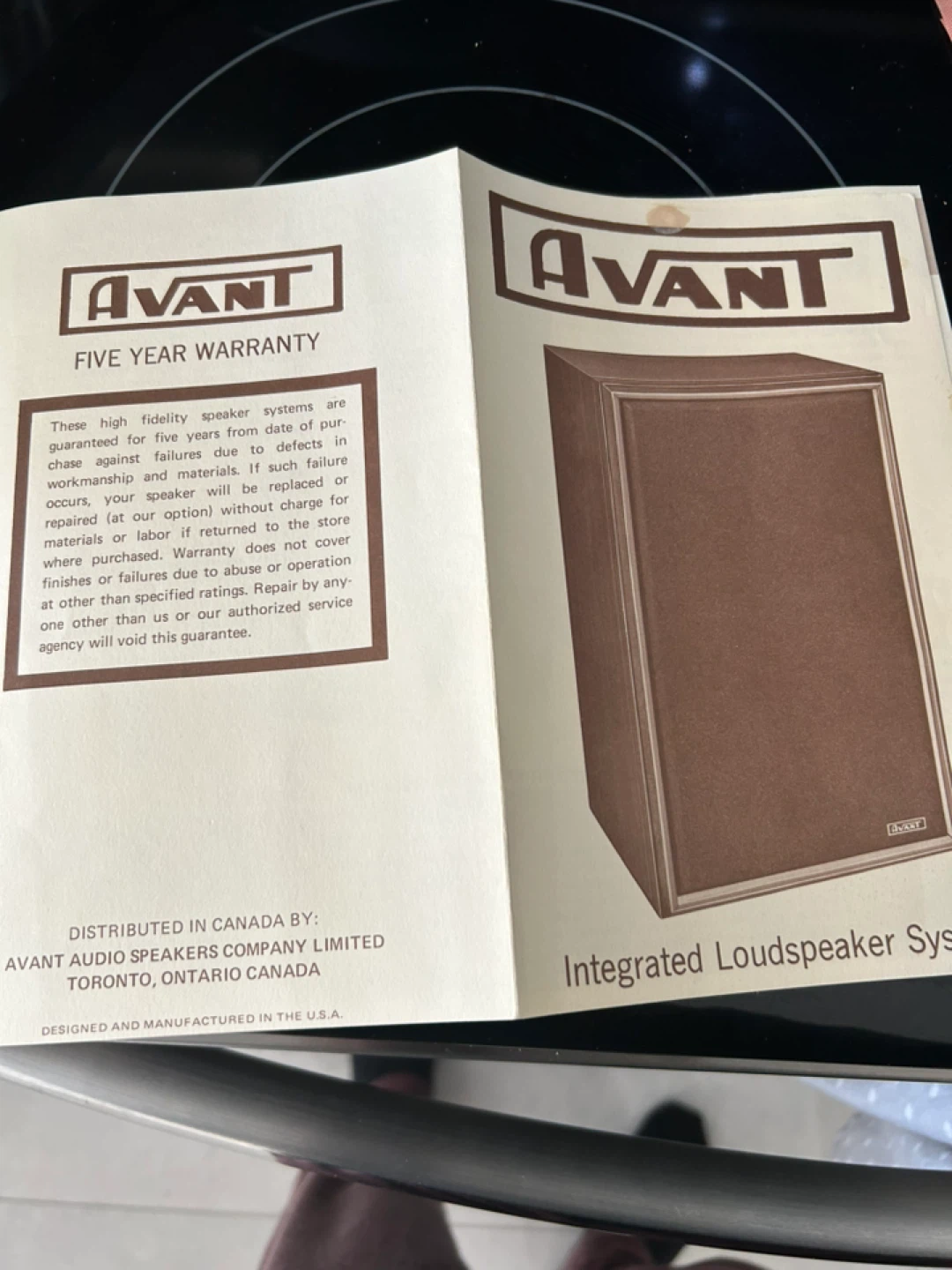 Avant/JBL 1000 Speakers - photo 3