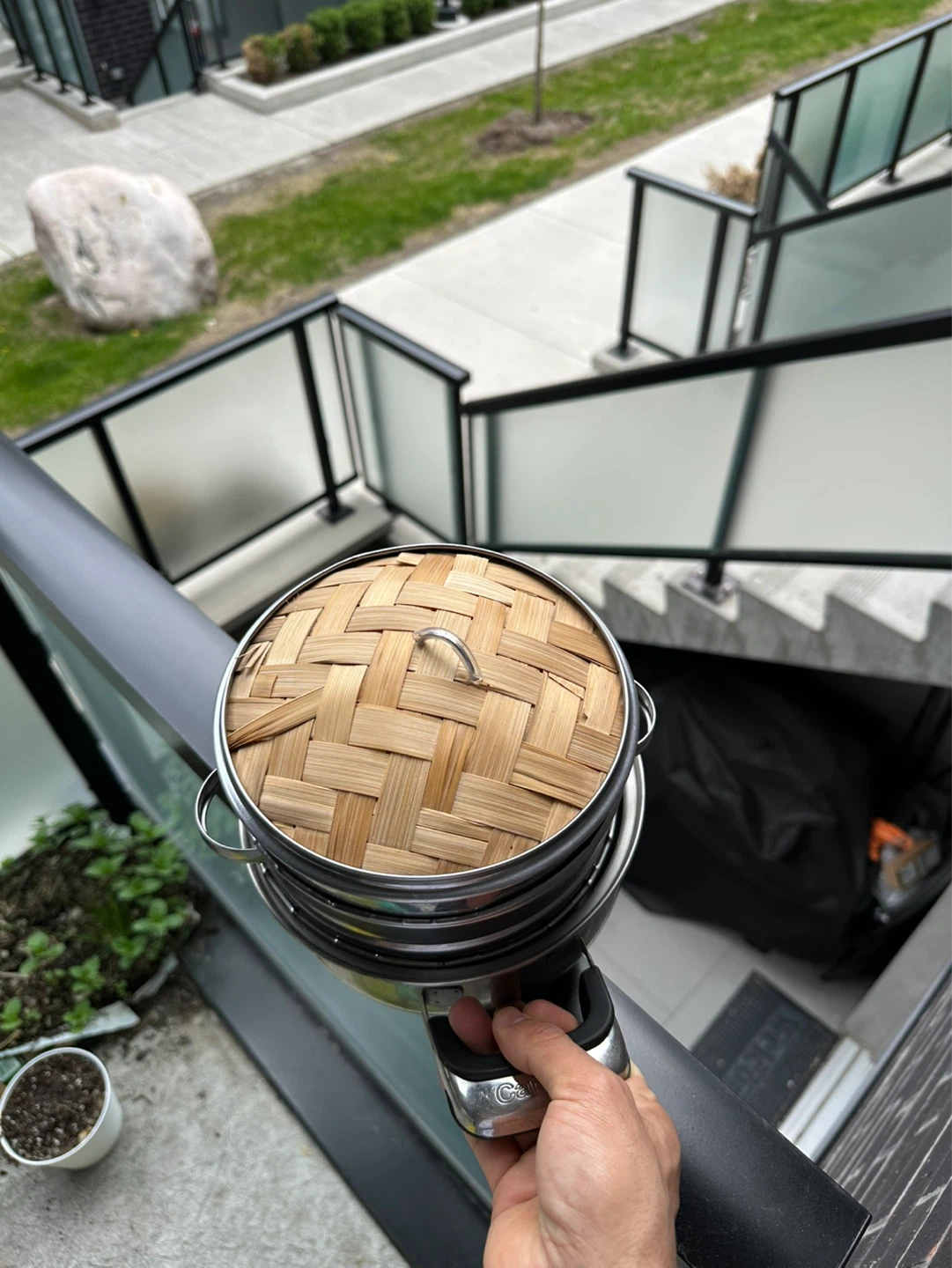 Carrera Stainless Steel Pot Steamer with Bamboo Lid