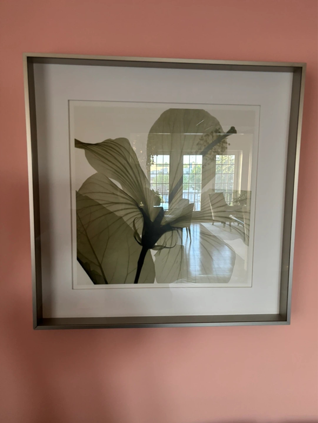 Framed Botanical X-Ray Art Prints Set of 3 - photo 2