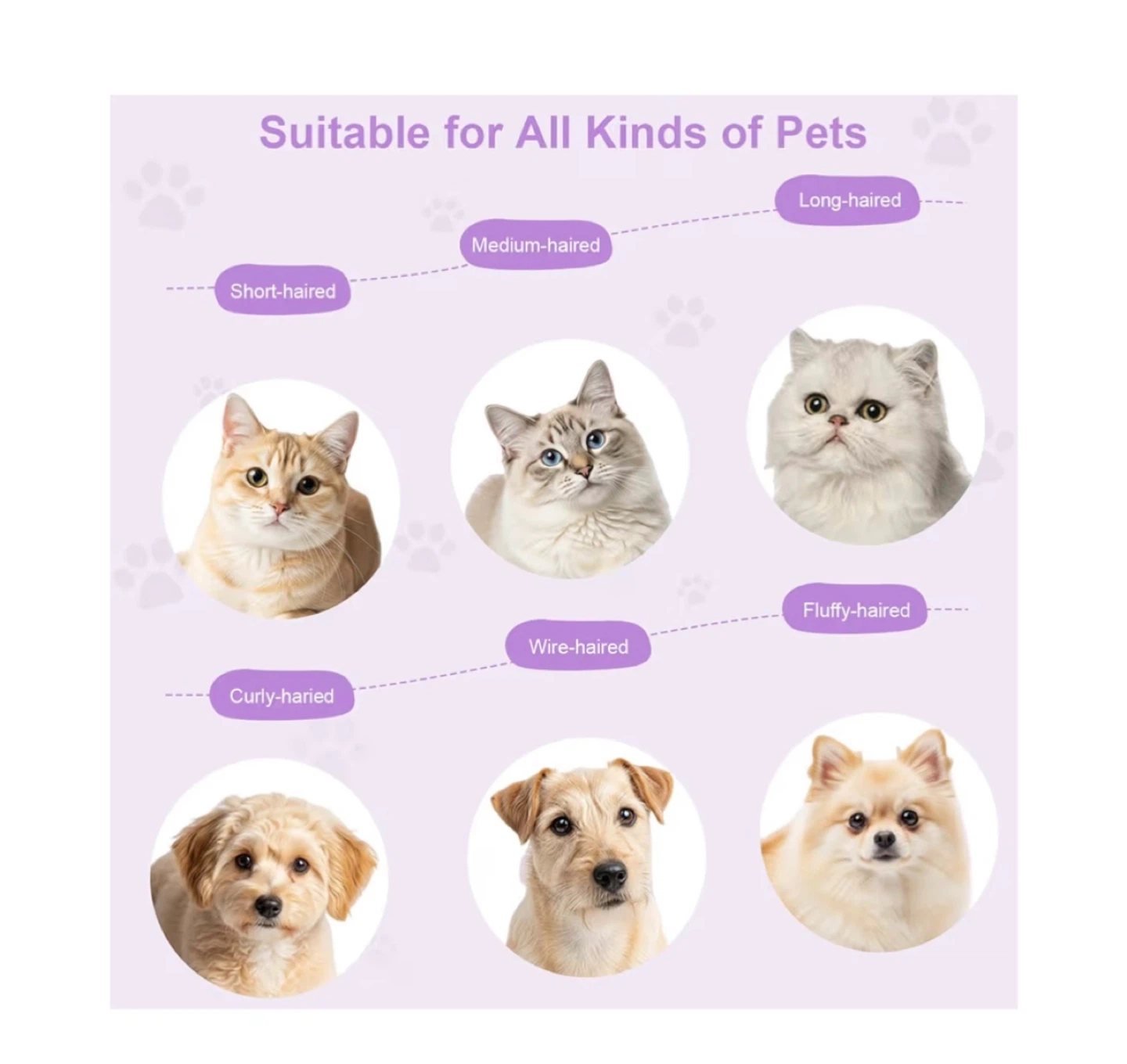 Brand new Rechargeable Cat Steam Brush with Mist Spray - photo 5