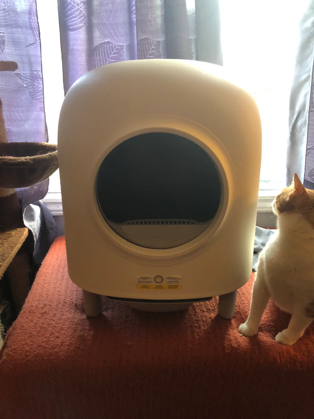 Litter-Robot Automatic Self-Cleaning Litter Box