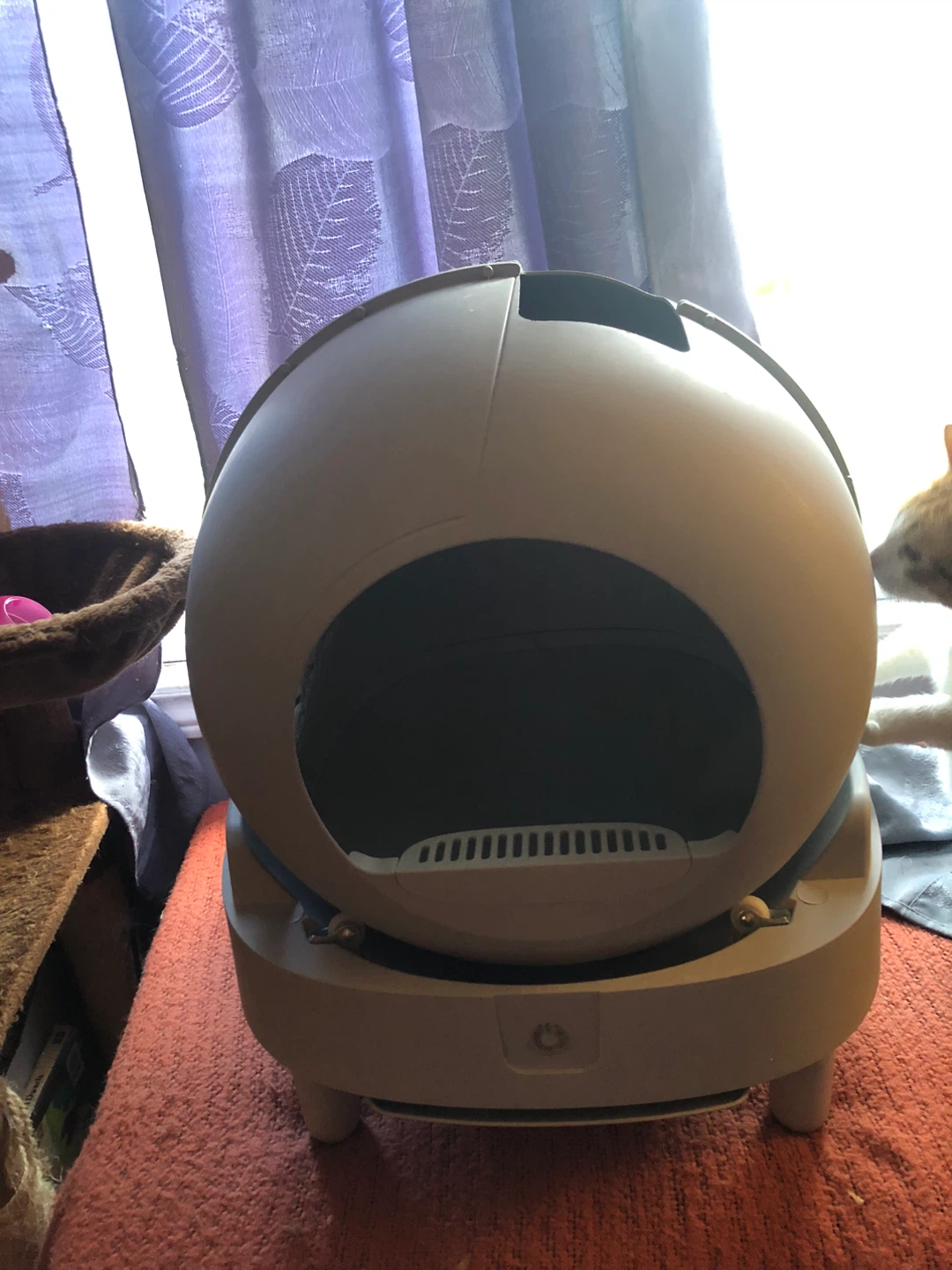 Litter-Robot Automatic Self-Cleaning Litter Box - photo 2