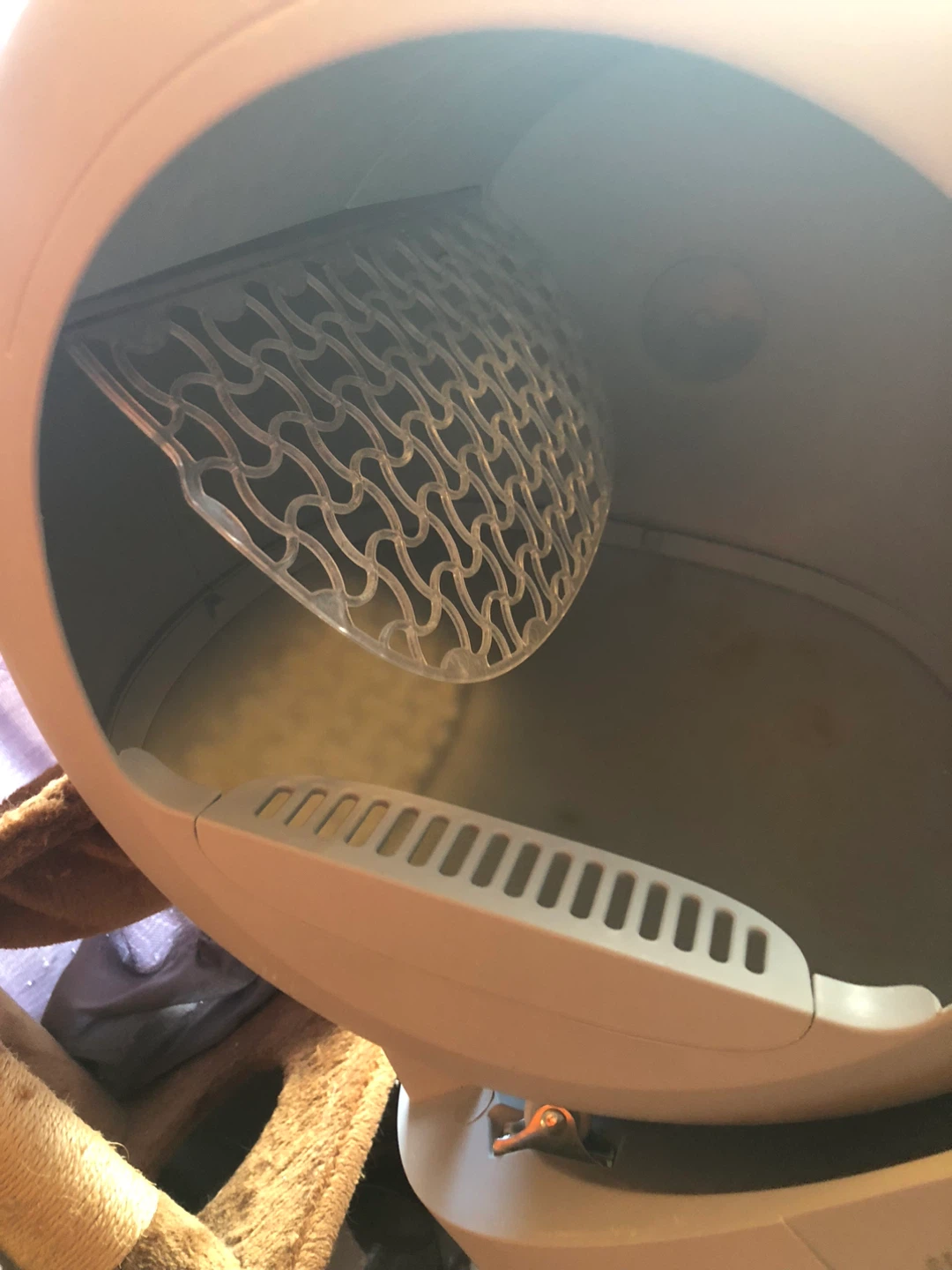 Litter-Robot Automatic Self-Cleaning Litter Box - photo 4