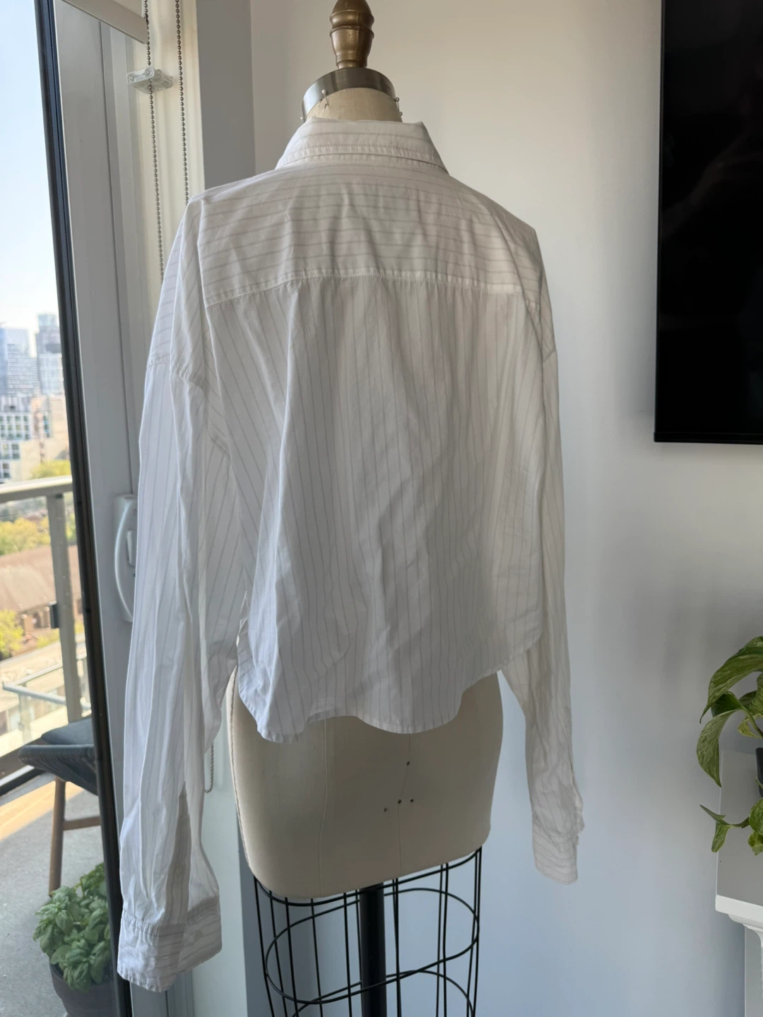 Aritzia Sunday Best White Pinstripe Cropped Button-Up Shirt - photo 4
