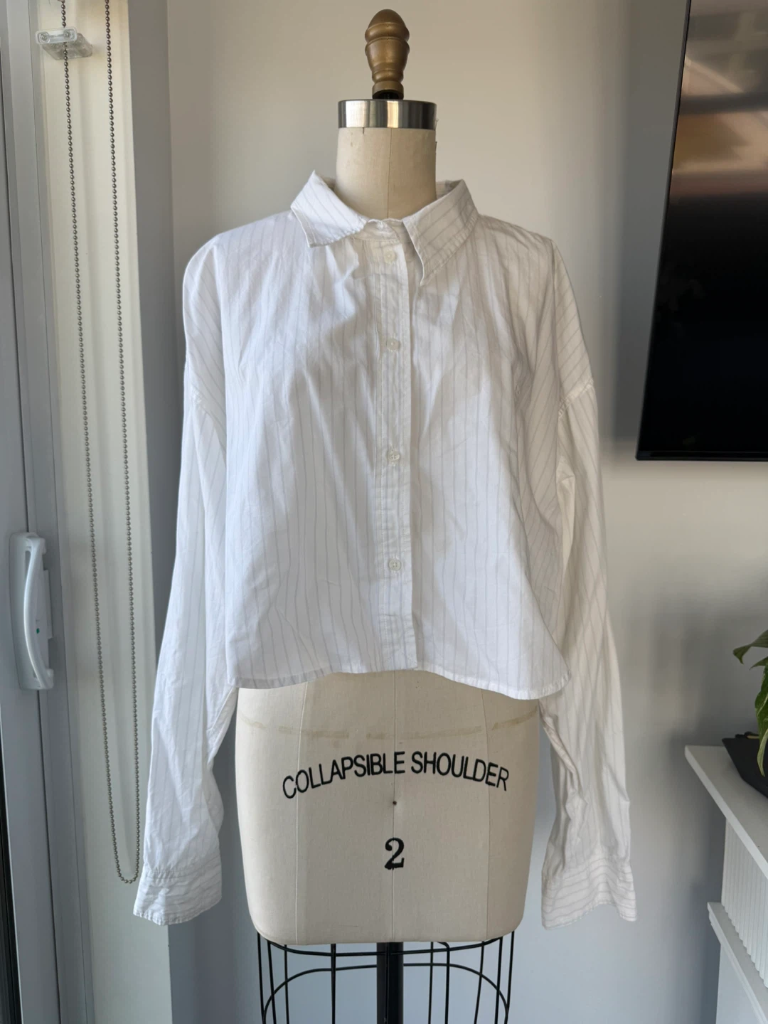 Aritzia Sunday Best White Pinstripe Cropped Button-Up Shirt