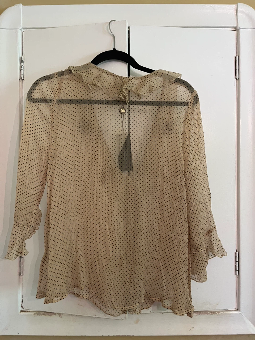 Sheer Polka Dot Blouse with Ruffle Trim - photo 2