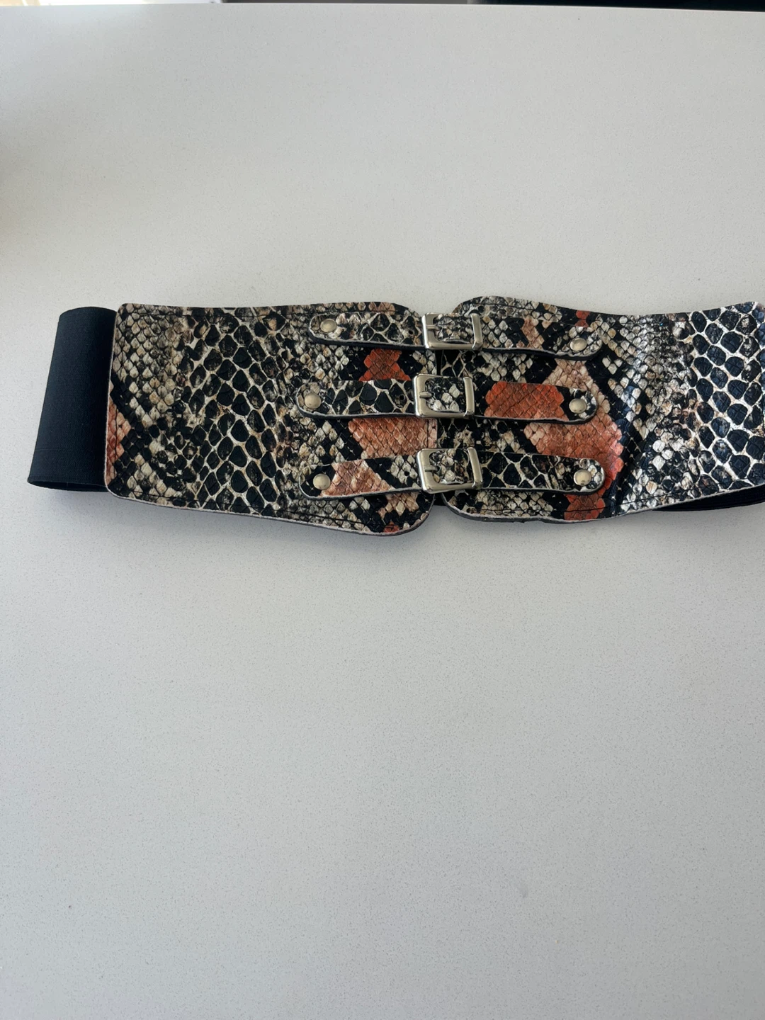 Women's Snake Print Elastic Belt with Buckles