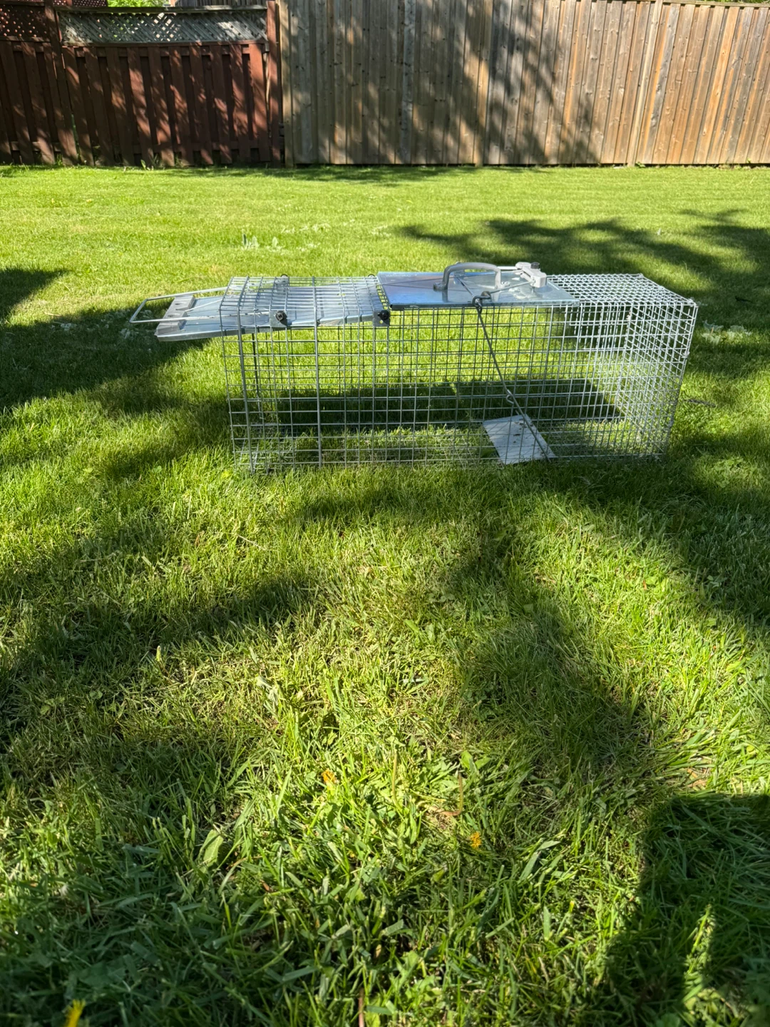 Havahart Easy Set Large 1-Door Animal Trap