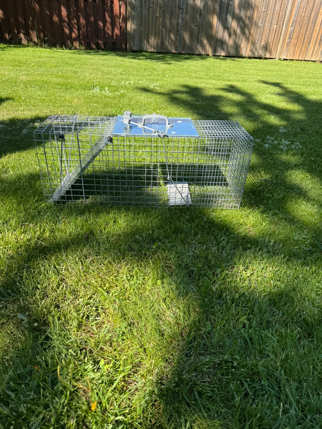 Havahart Easy Set Large 1-Door Animal Trap - photo 2