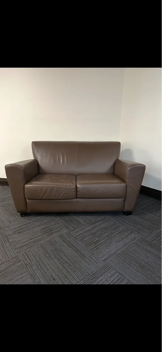 Brown Linden couch