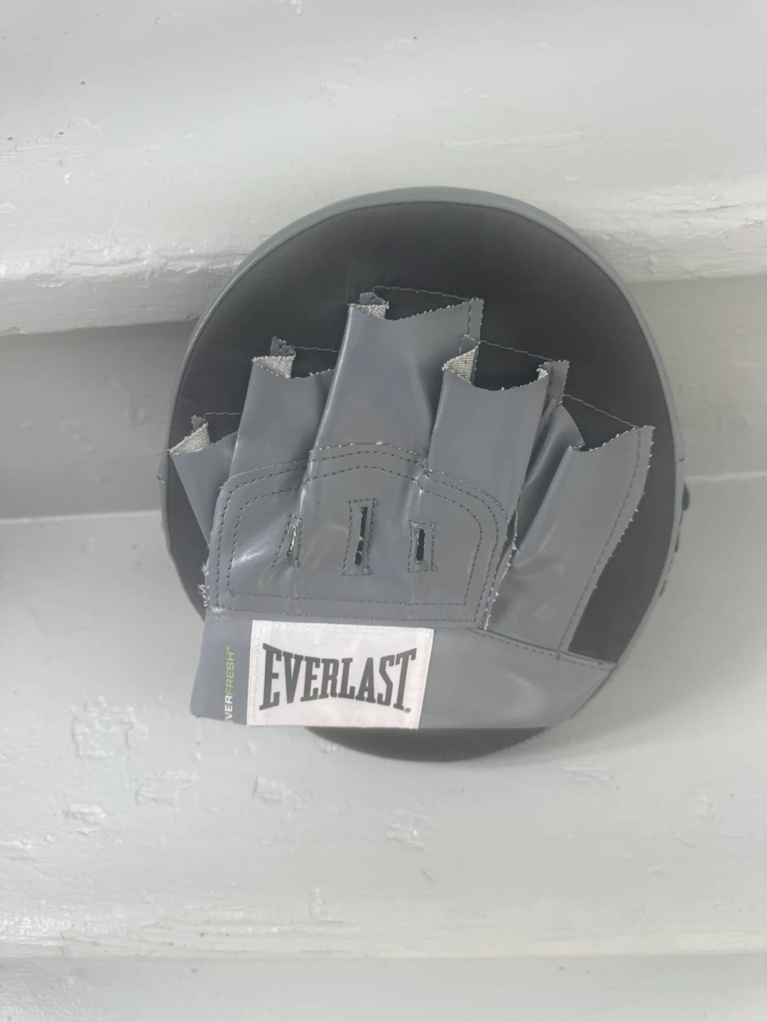 Combat Sports International Thai Pad & Everlast Mitts - photo 4