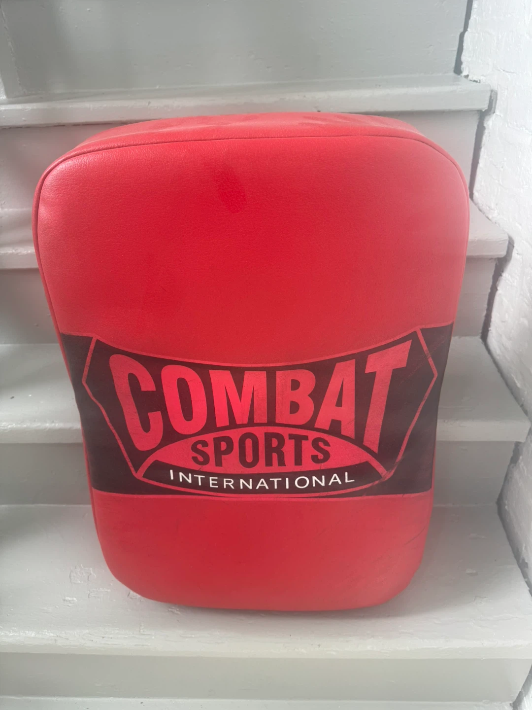 Combat Sports International Thai Pad & Everlast Mitts