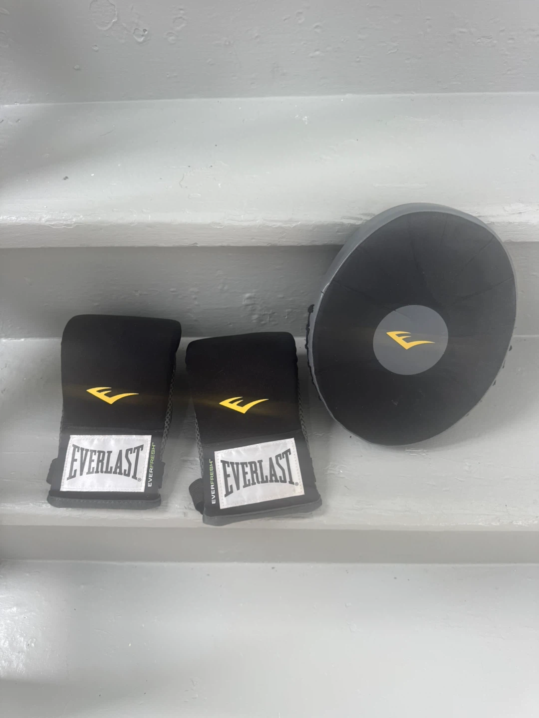 Combat Sports International Thai Pad & Everlast Mitts - photo 3