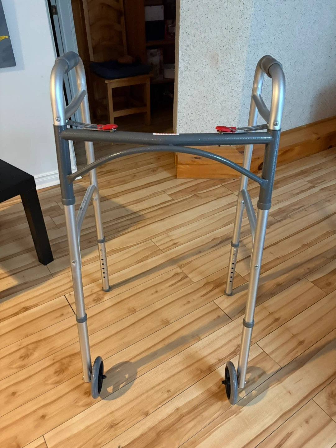 Two-Wheeled Walker