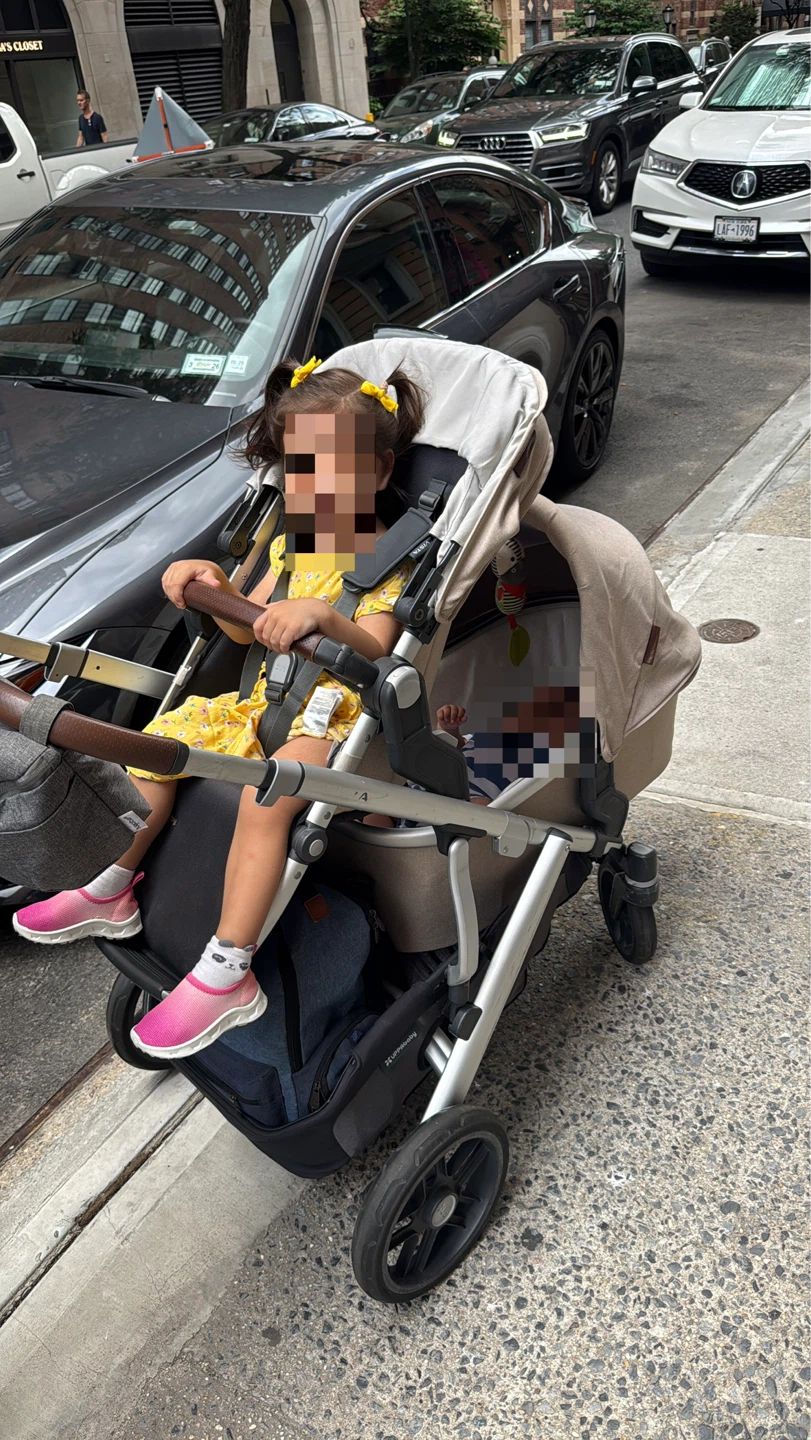 UPPAbaby Vista V2 Double Stroller - photo 3