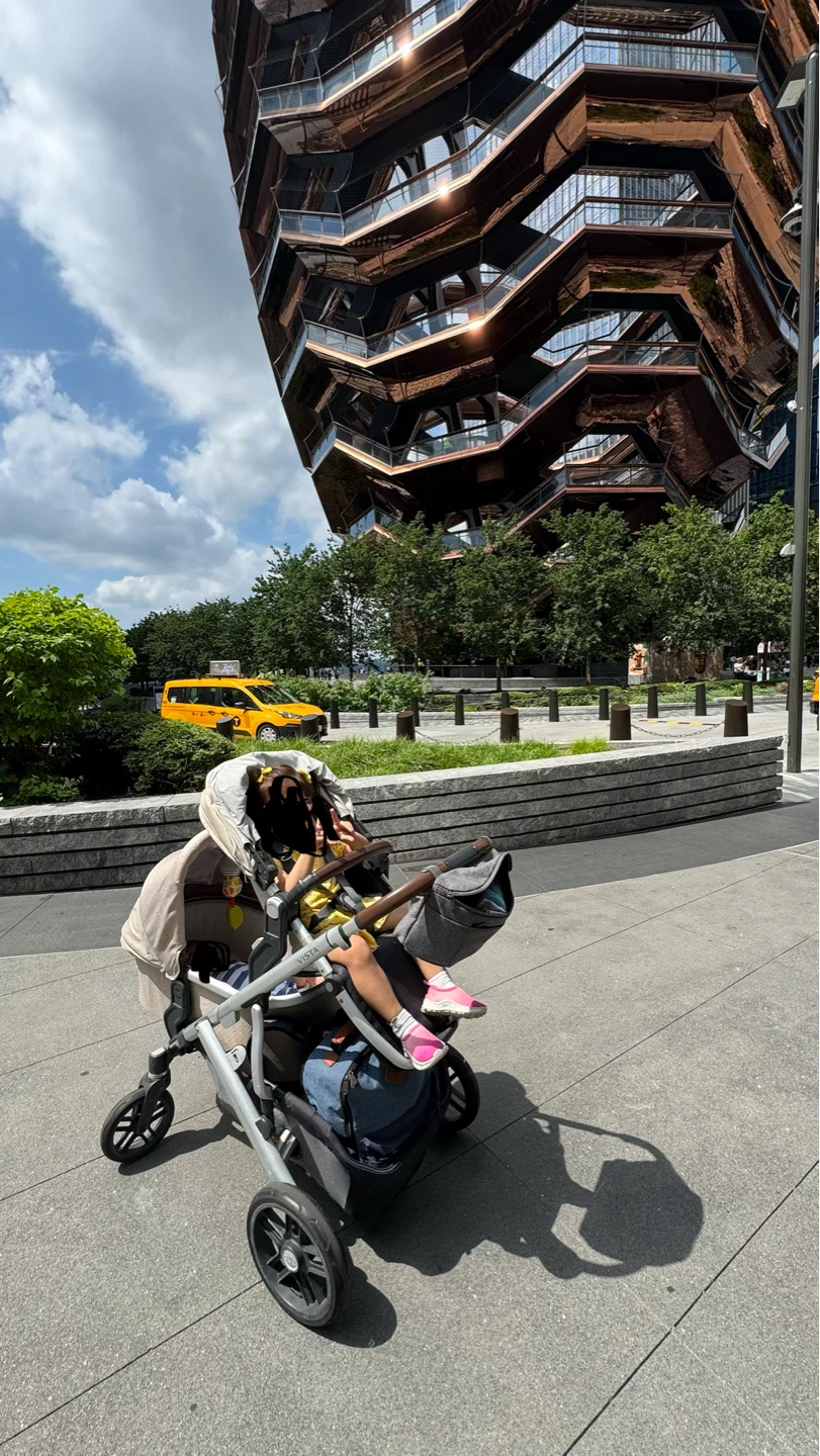 UPPAbaby Vista V2 Double Stroller - photo 2