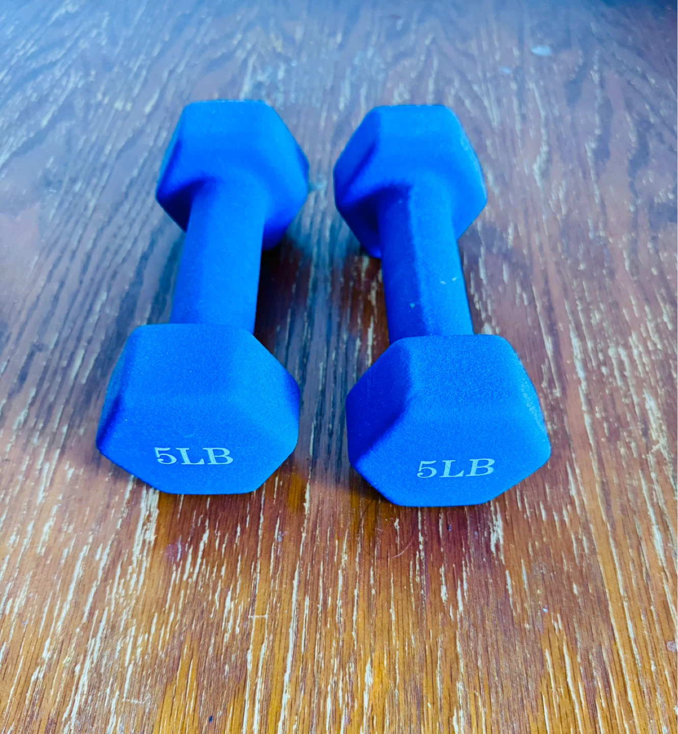 Blue 5LB Dumbbells (Pair)