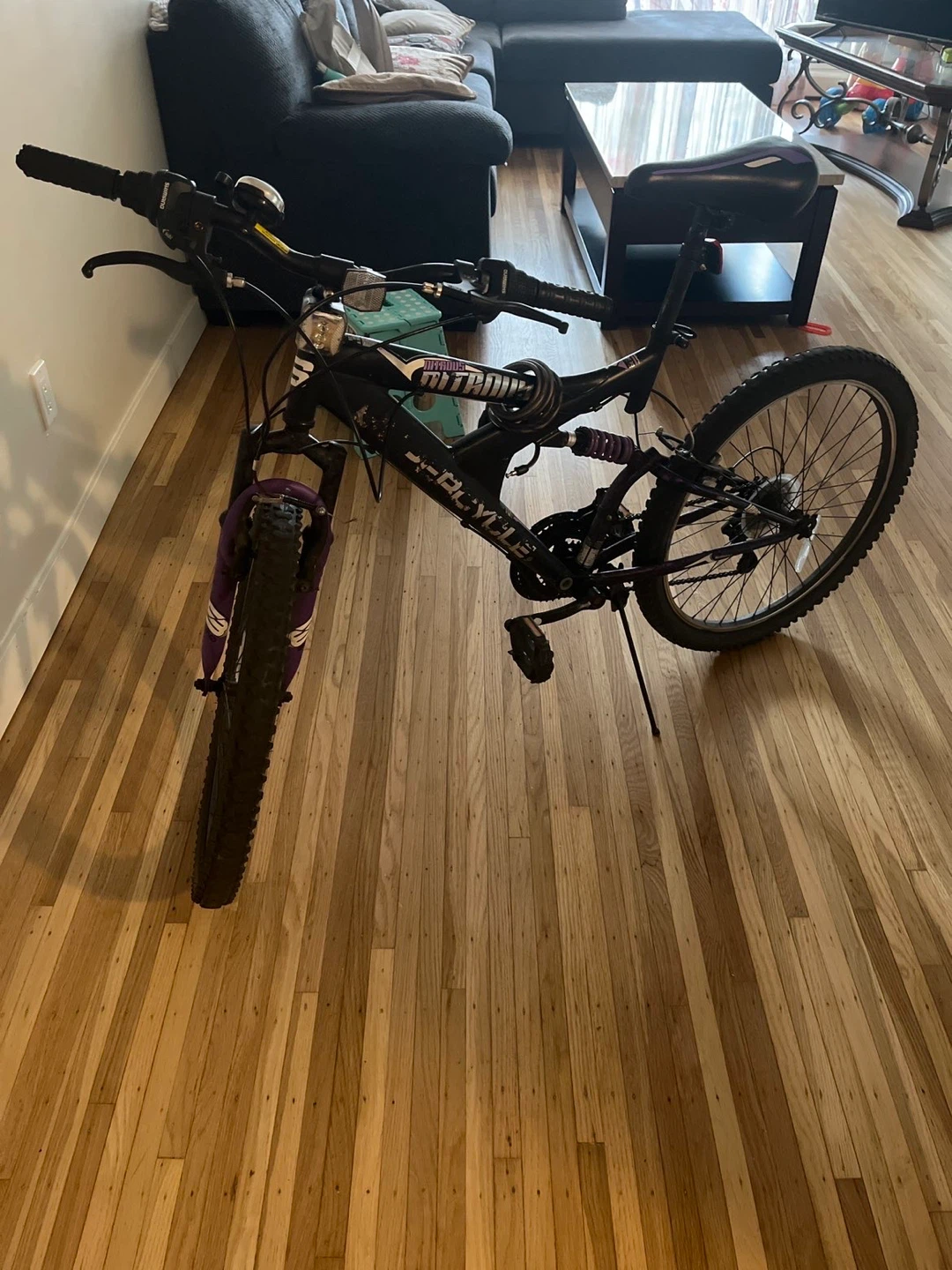 Supercycle Mountain Bike
