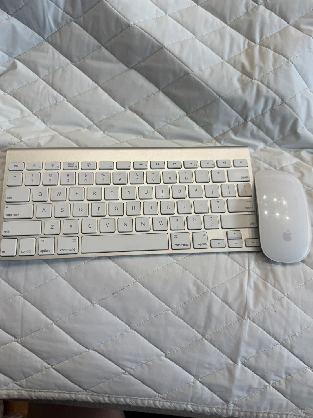 Apple Magic Keyboard and Mouse