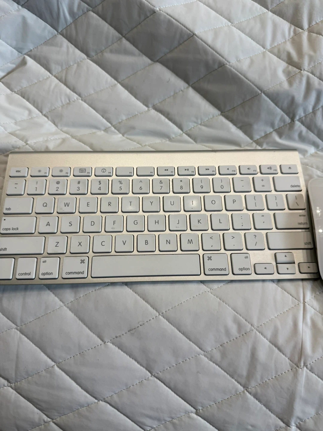 Apple Magic Keyboard and Mouse - photo 3