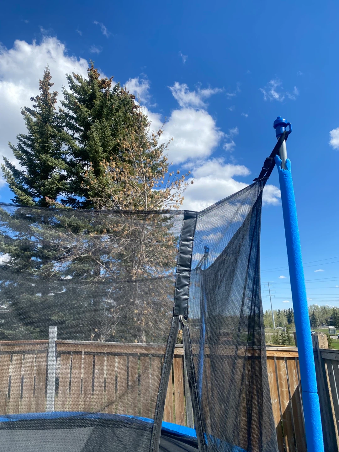 Round Trampoline with Safety Enclosure - photo 3