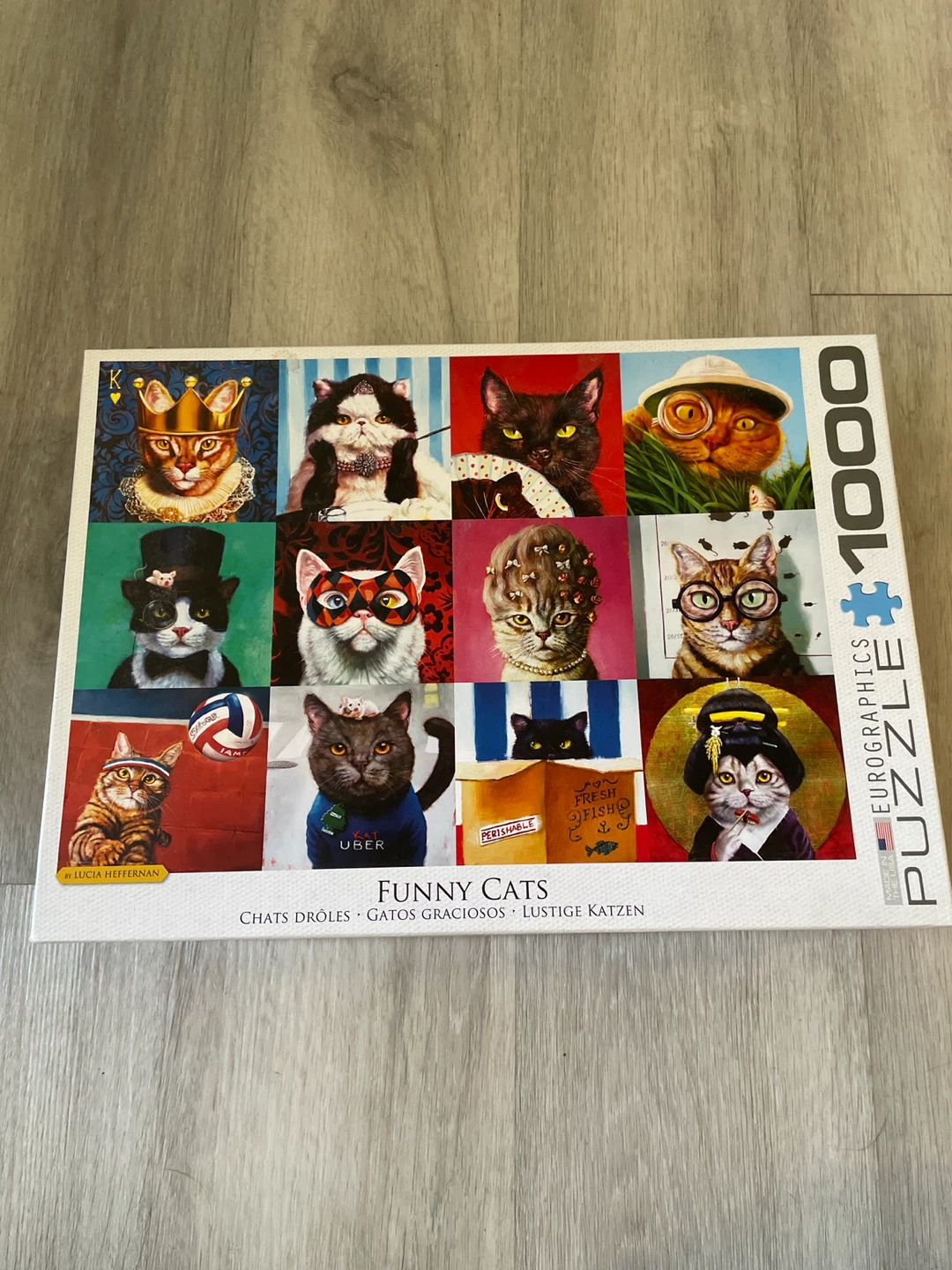 Eurographics Funny Cats 1000 Piece Puzzle