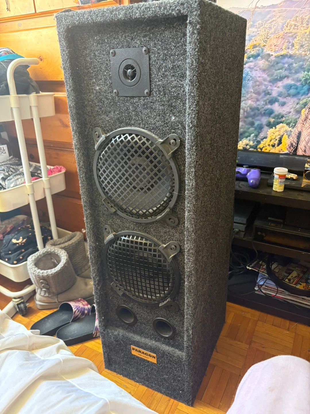 Paragon Tower Speakers (PAIR) - photo 2