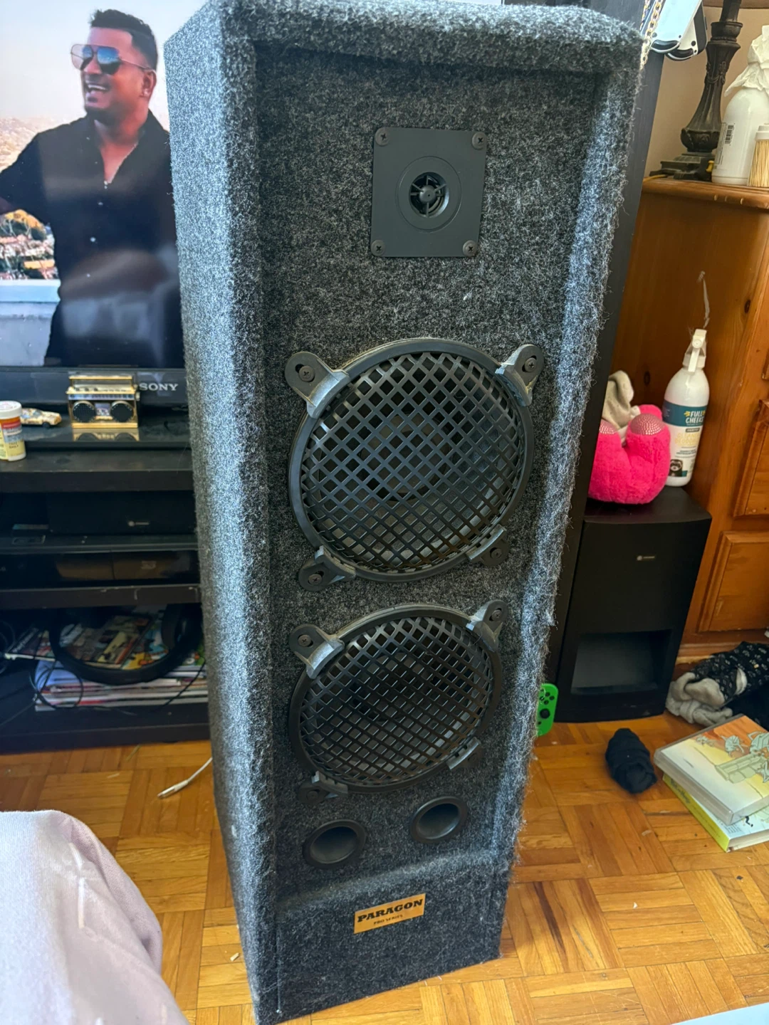 Paragon Tower Speakers (PAIR)