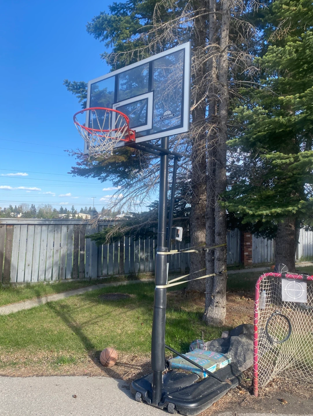 Lifetime Basketball Hoop