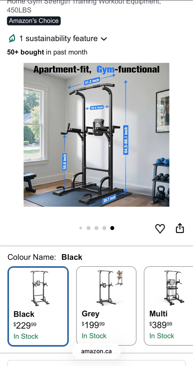 Home Gym - photo 4