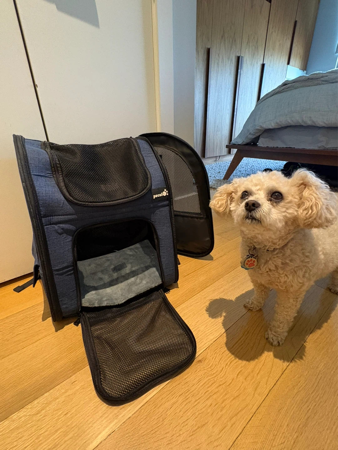 Pecute Blue Pet Carrier Backpack