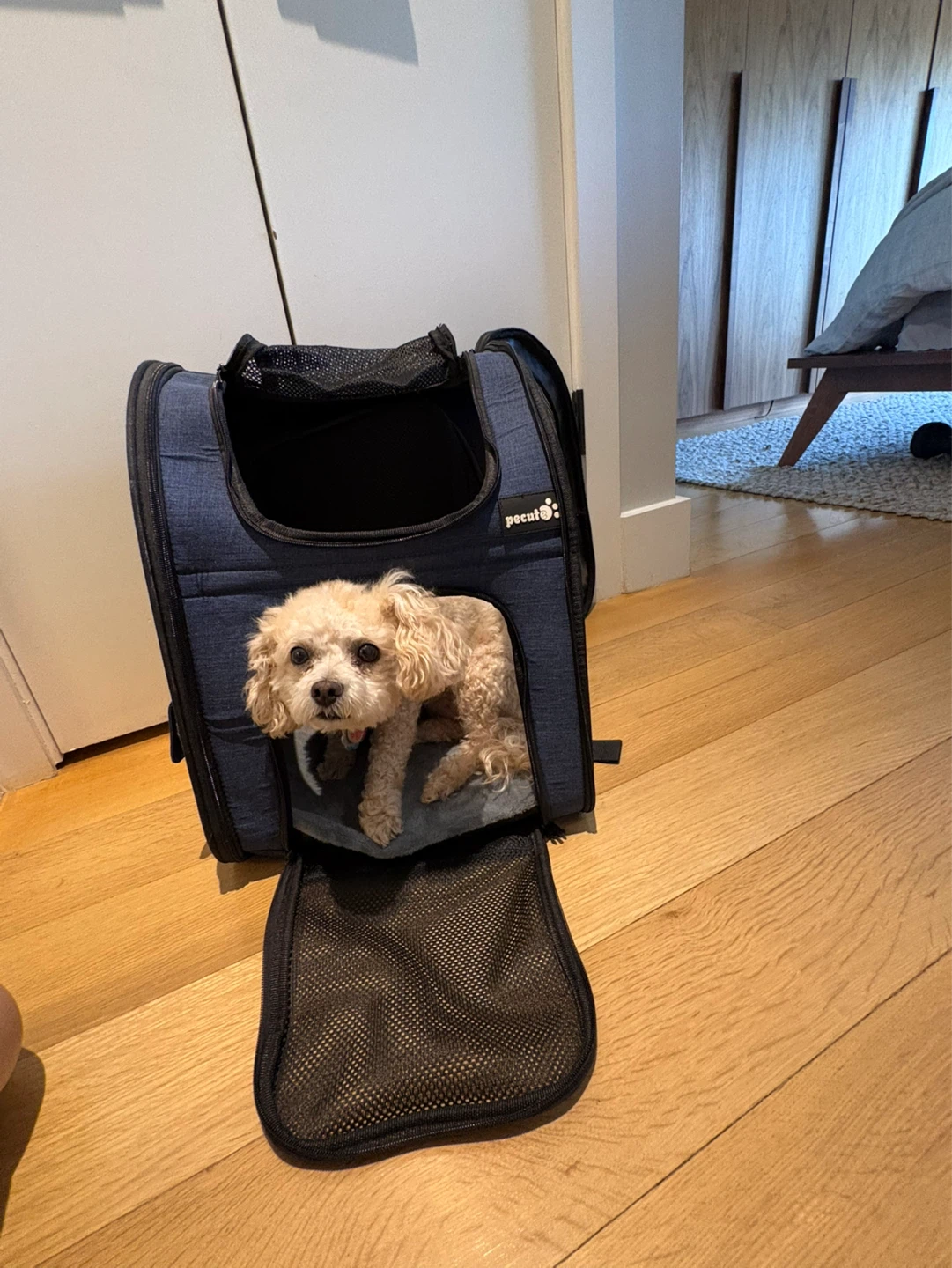 Pecute Blue Pet Carrier Backpack - photo 4