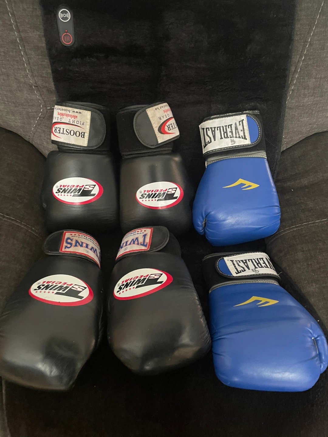 Everlast and Twins Special Boxing Gloves