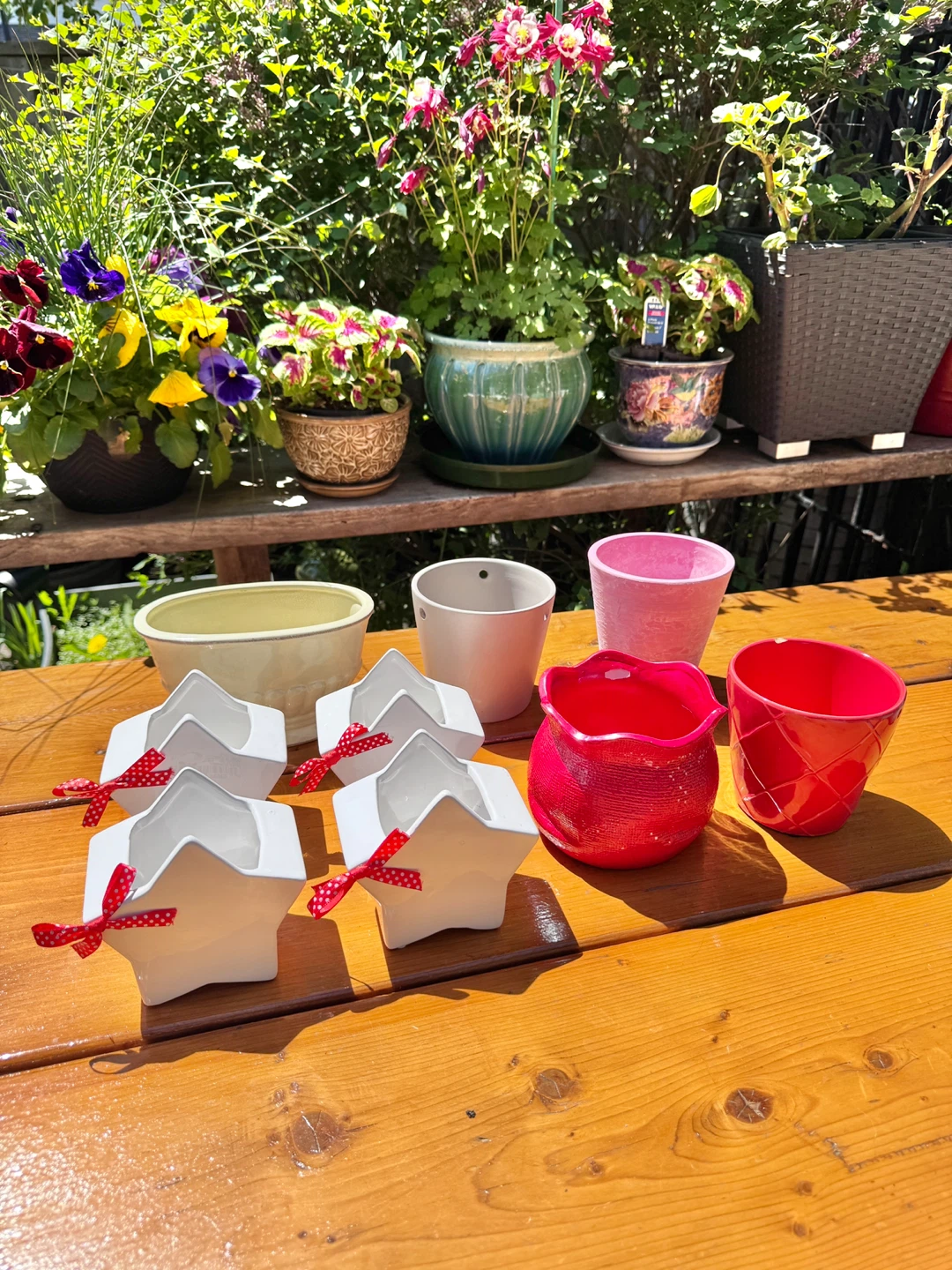 $2 Each Flower Pots - Group A