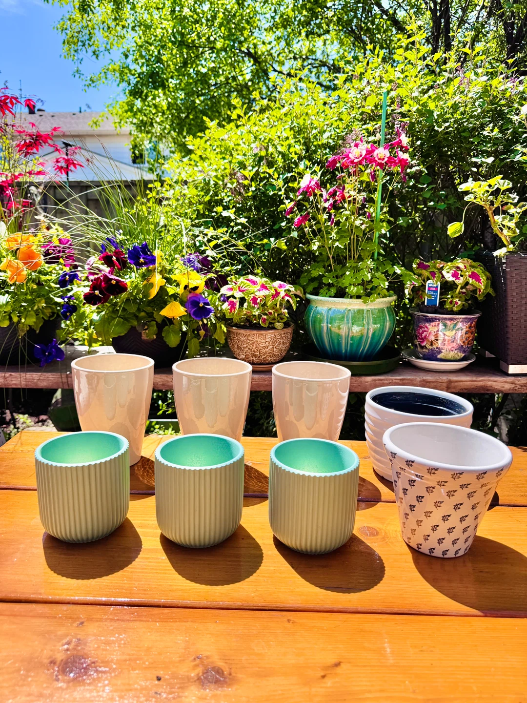 $5 Each Flower Pots - Group B