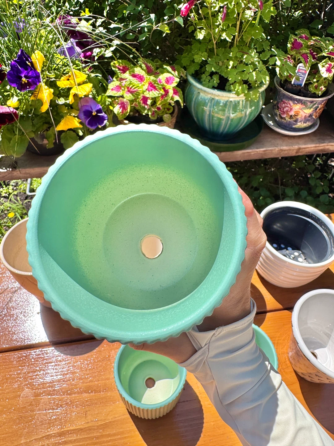 $5 Each Flower Pots - Group B - photo 3