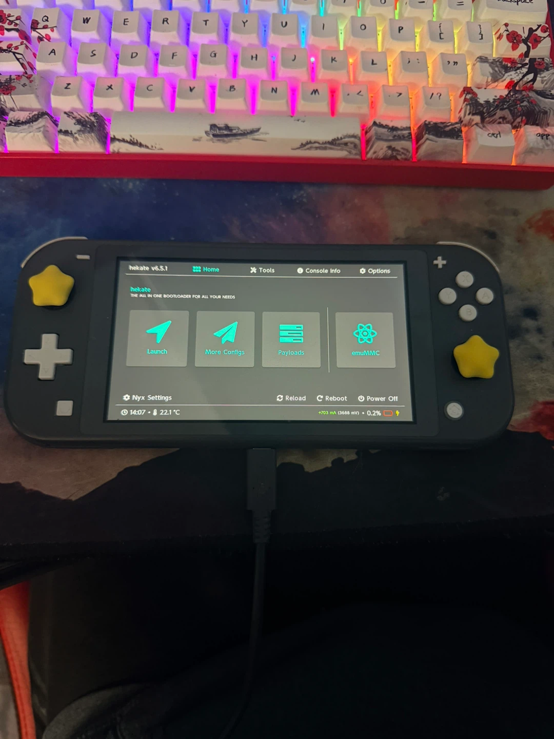 Hard modded switch lite
