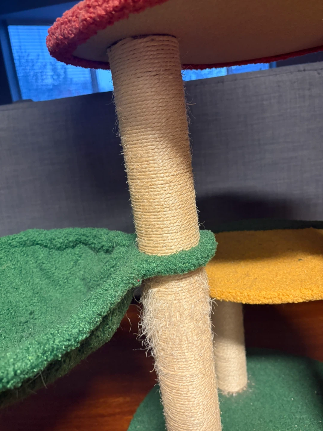 Cat Fruit Tree Condo - photo 3