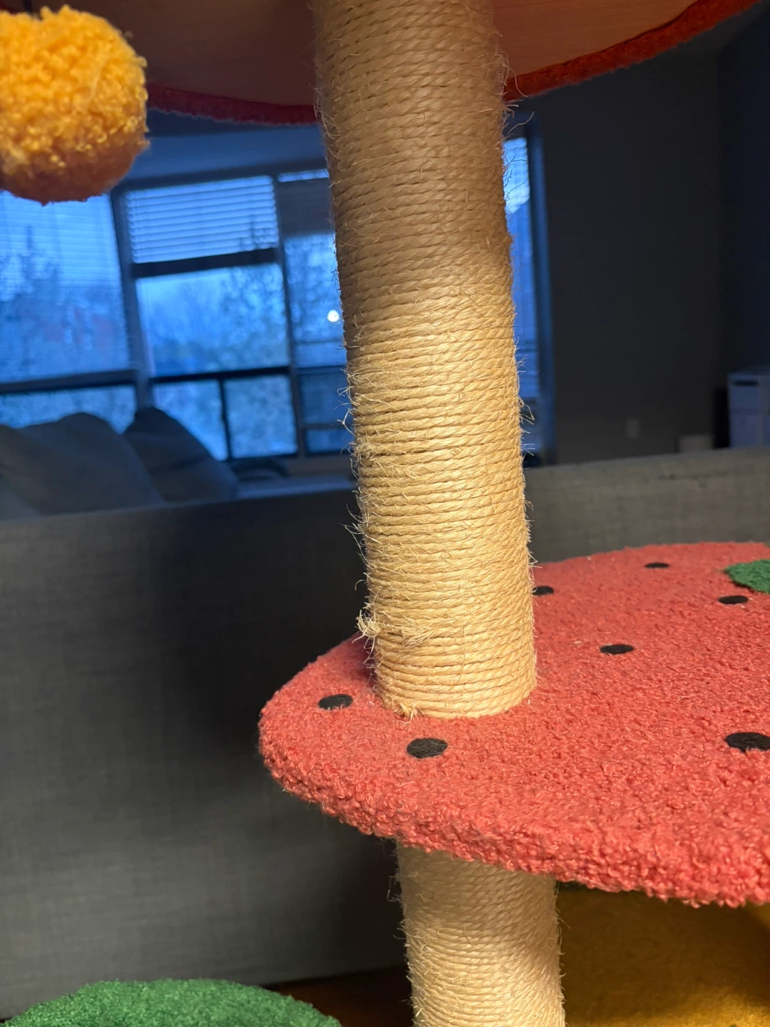 Cat Fruit Tree Condo - photo 4