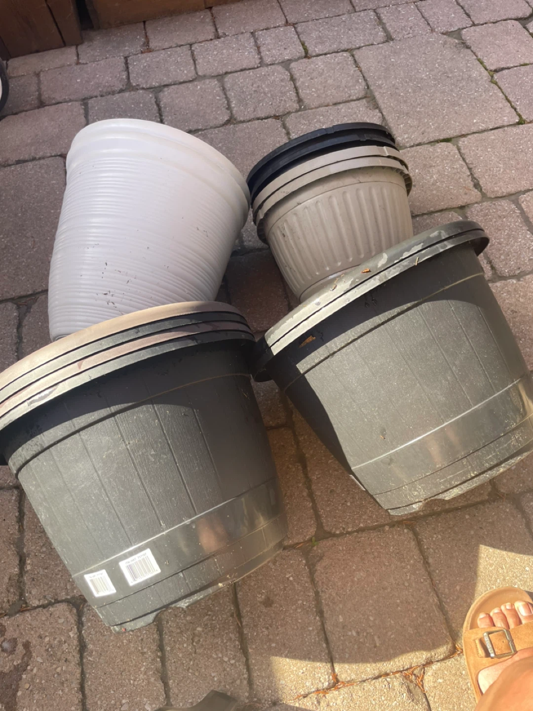 Assorted Plastic Plant Pots