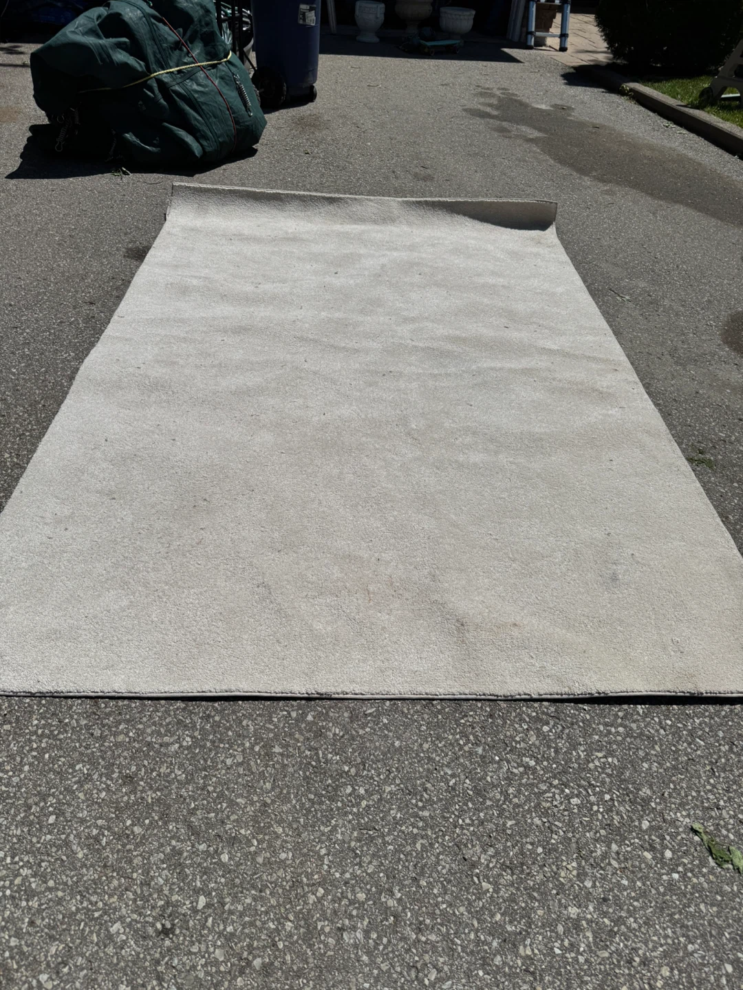 Free double box spring, area rug - photo 2