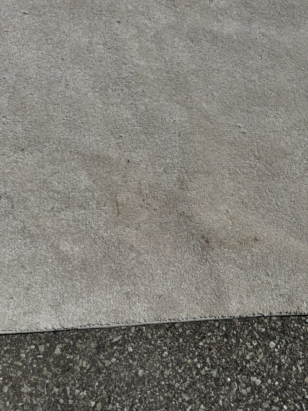 Free double box spring, area rug - photo 3