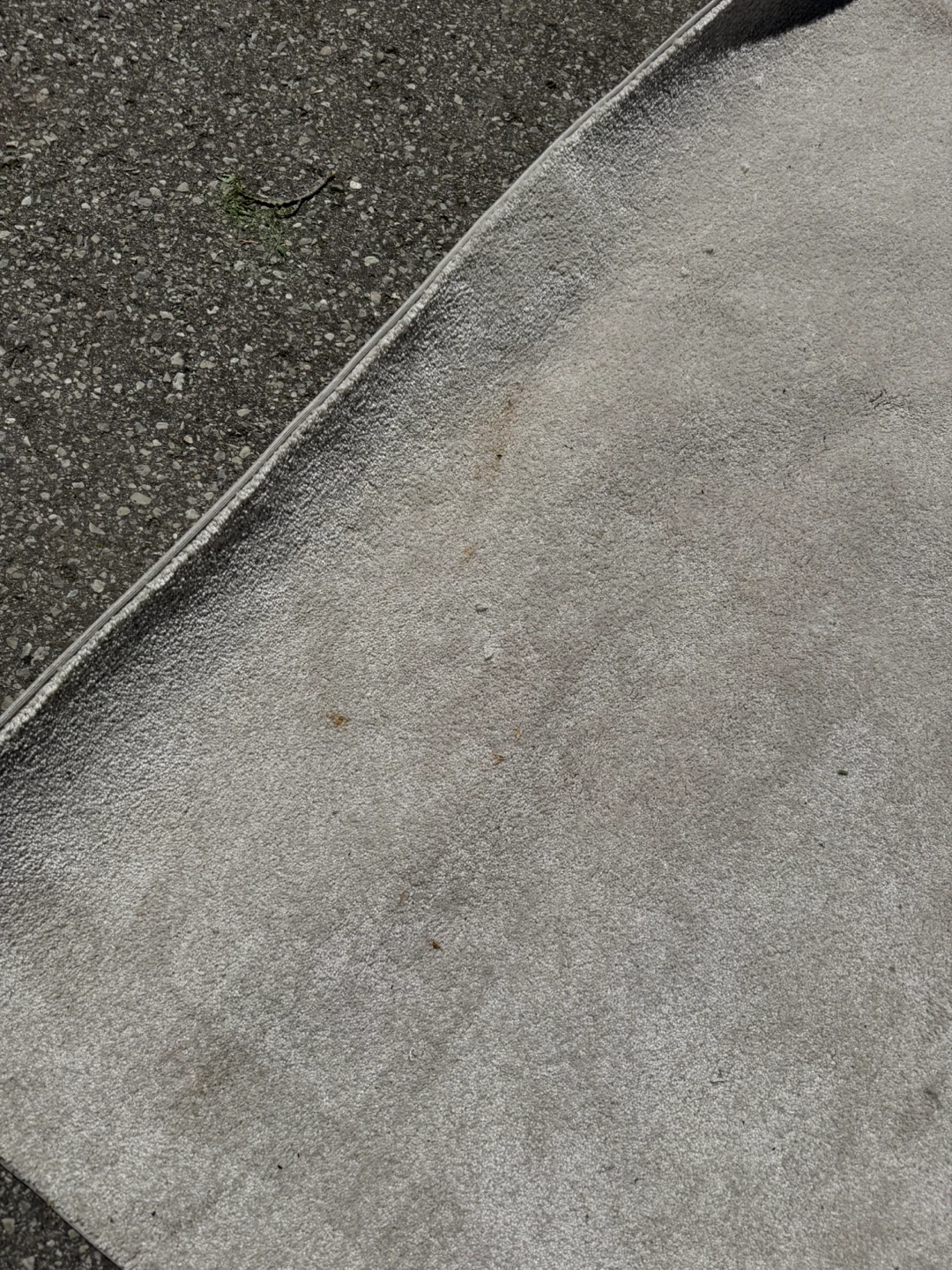 Free double box spring, area rug - photo 4