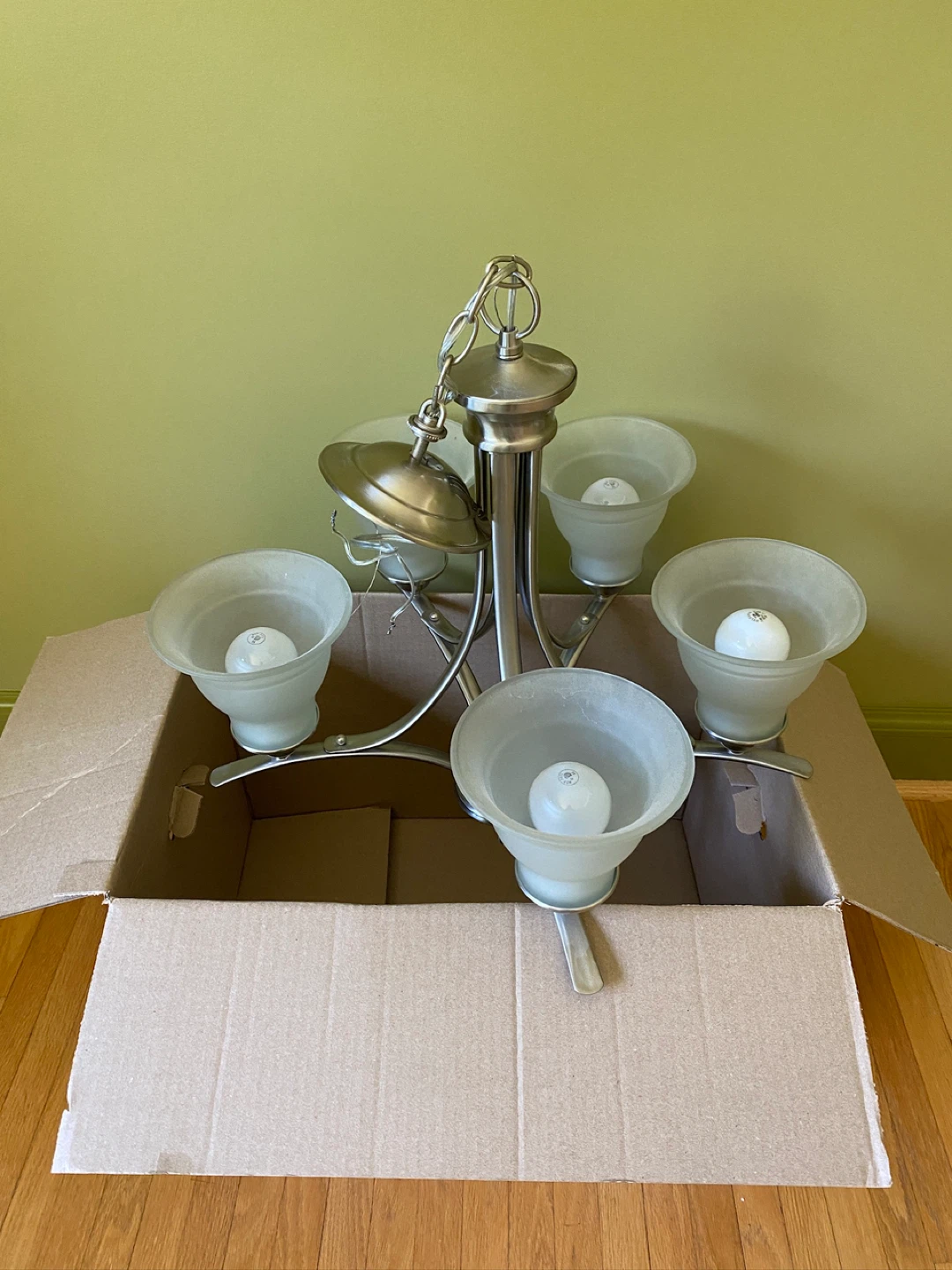 5-Light Chandelier Fixture