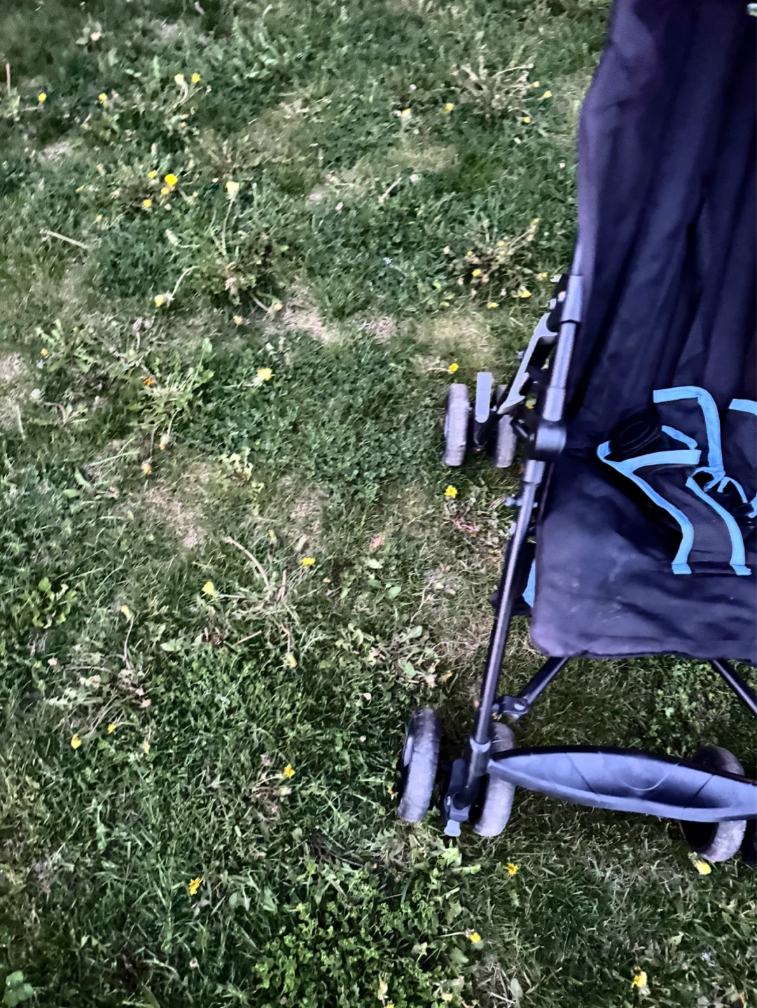 Summer Infant 3Dmini Stroller - photo 3