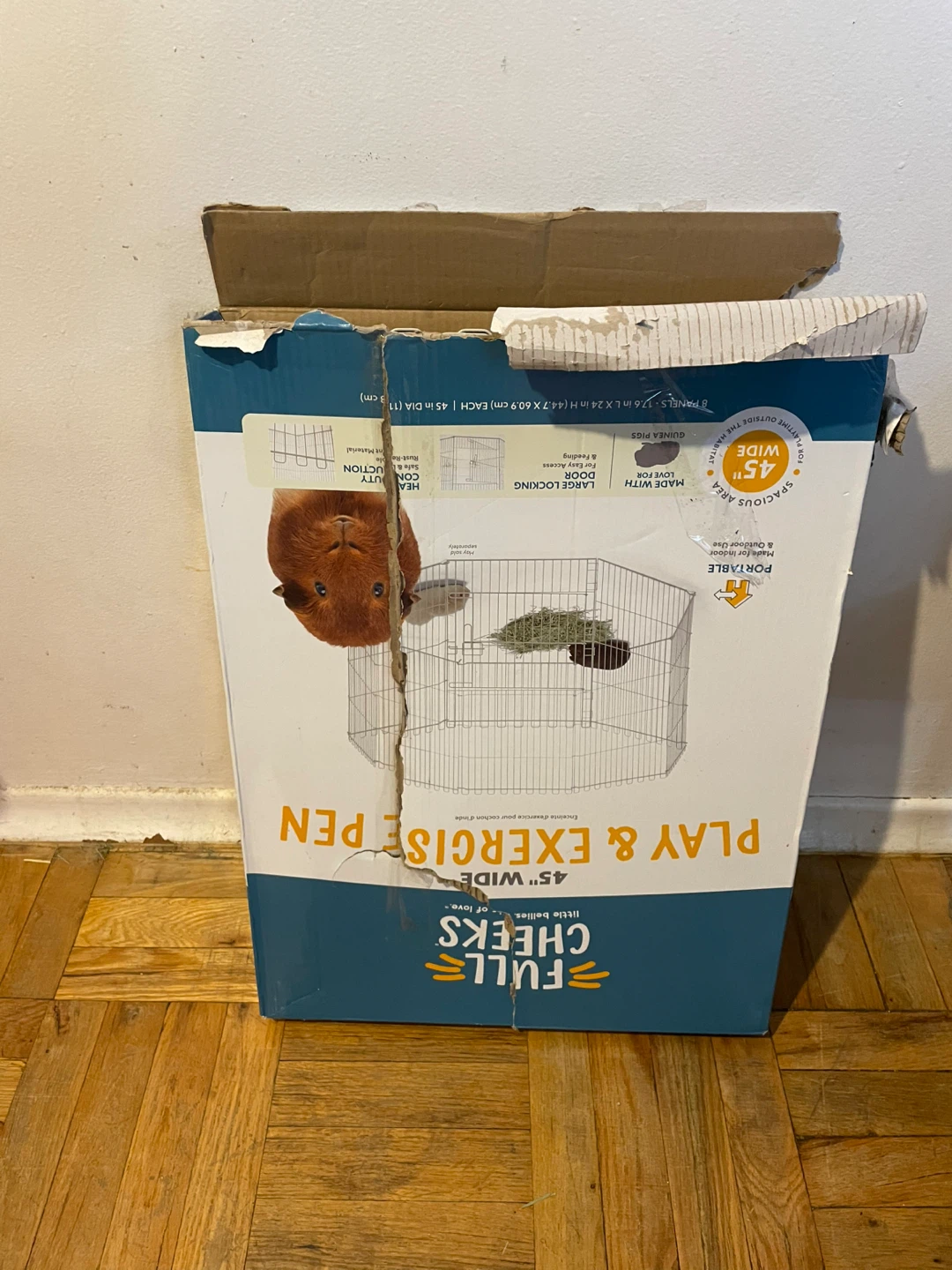 Guinea Pig Playpen - photo 2