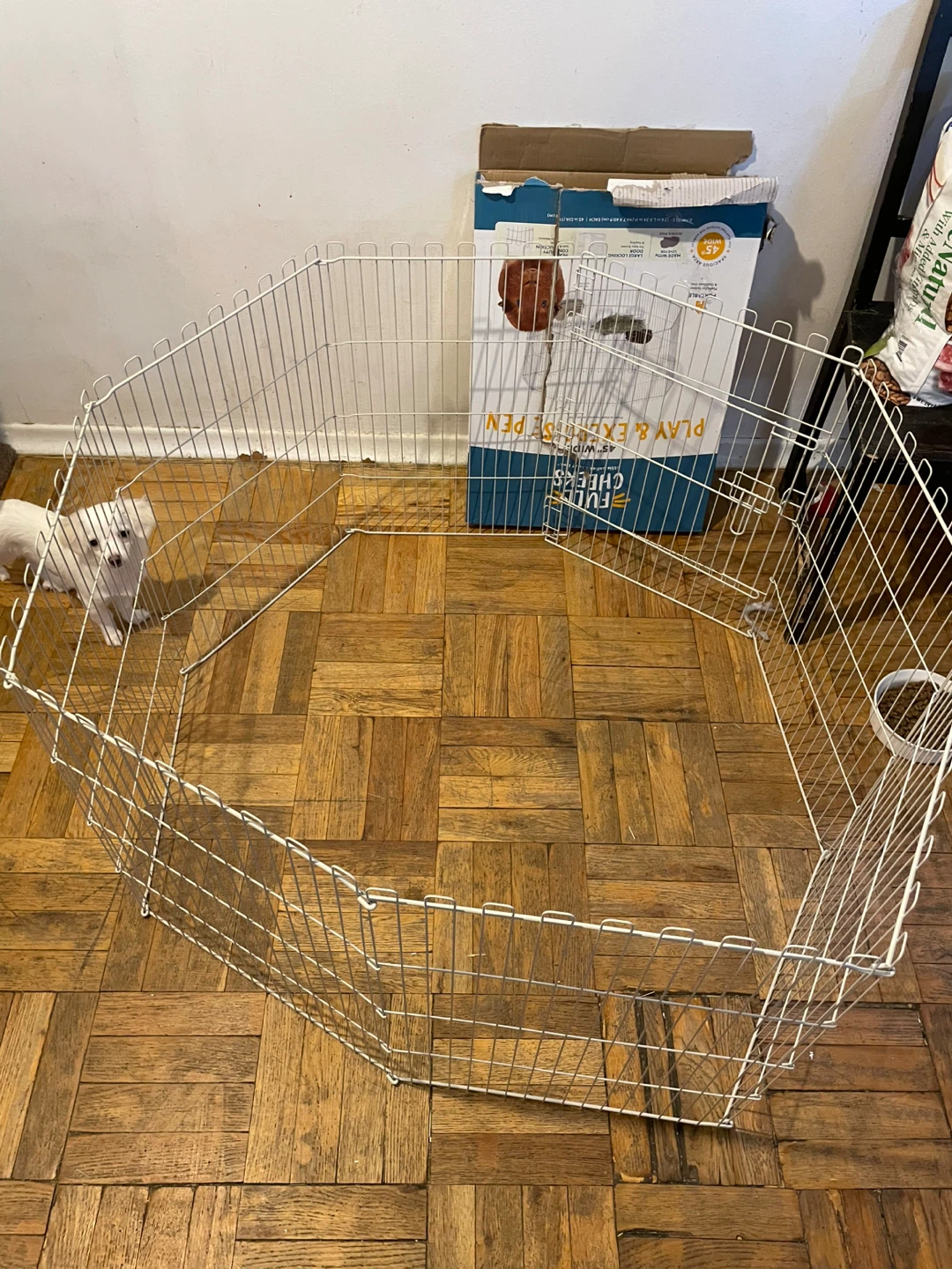 Guinea Pig Playpen