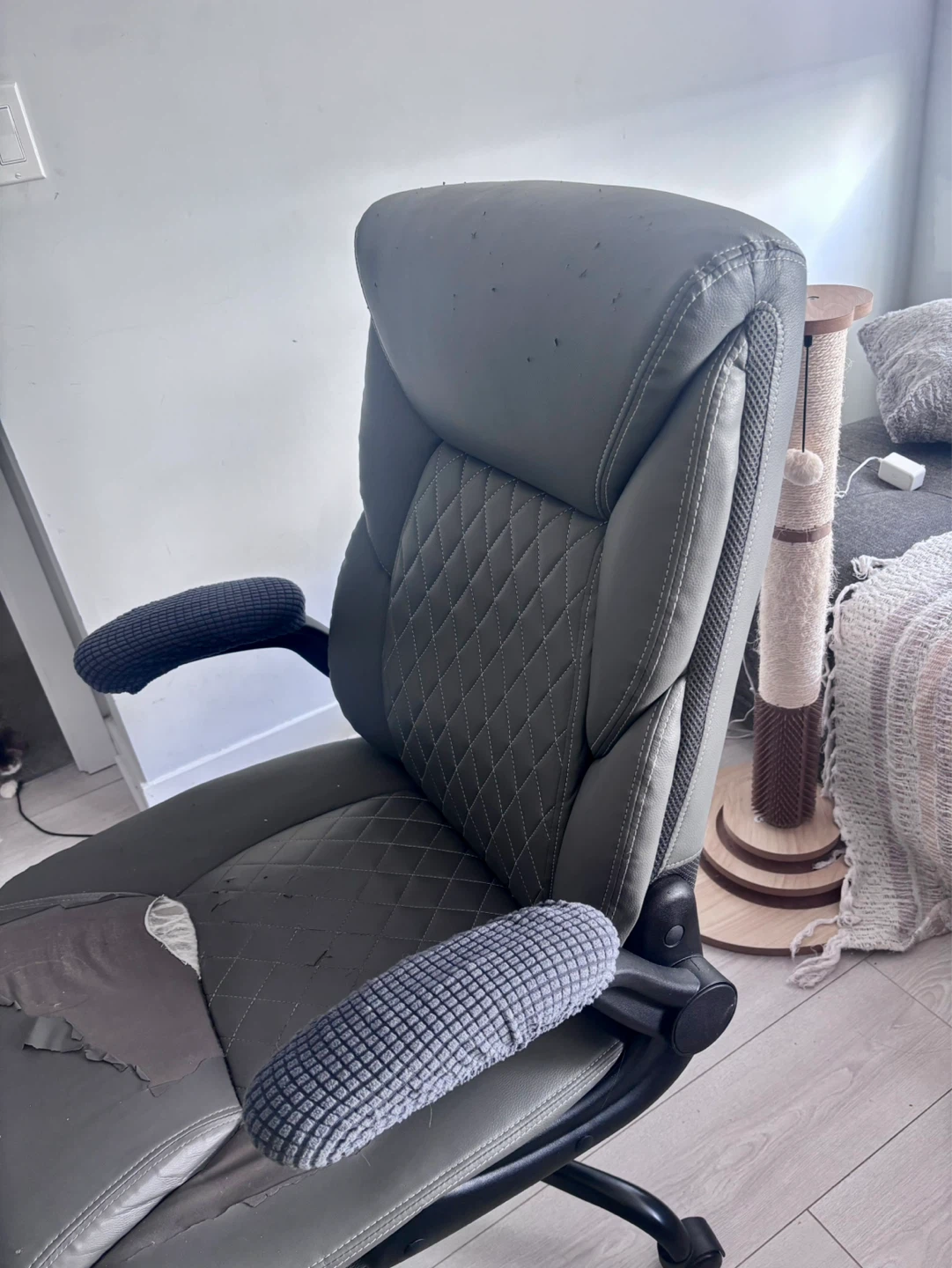 Free Office Chair — Good Bones, Cat-Loved