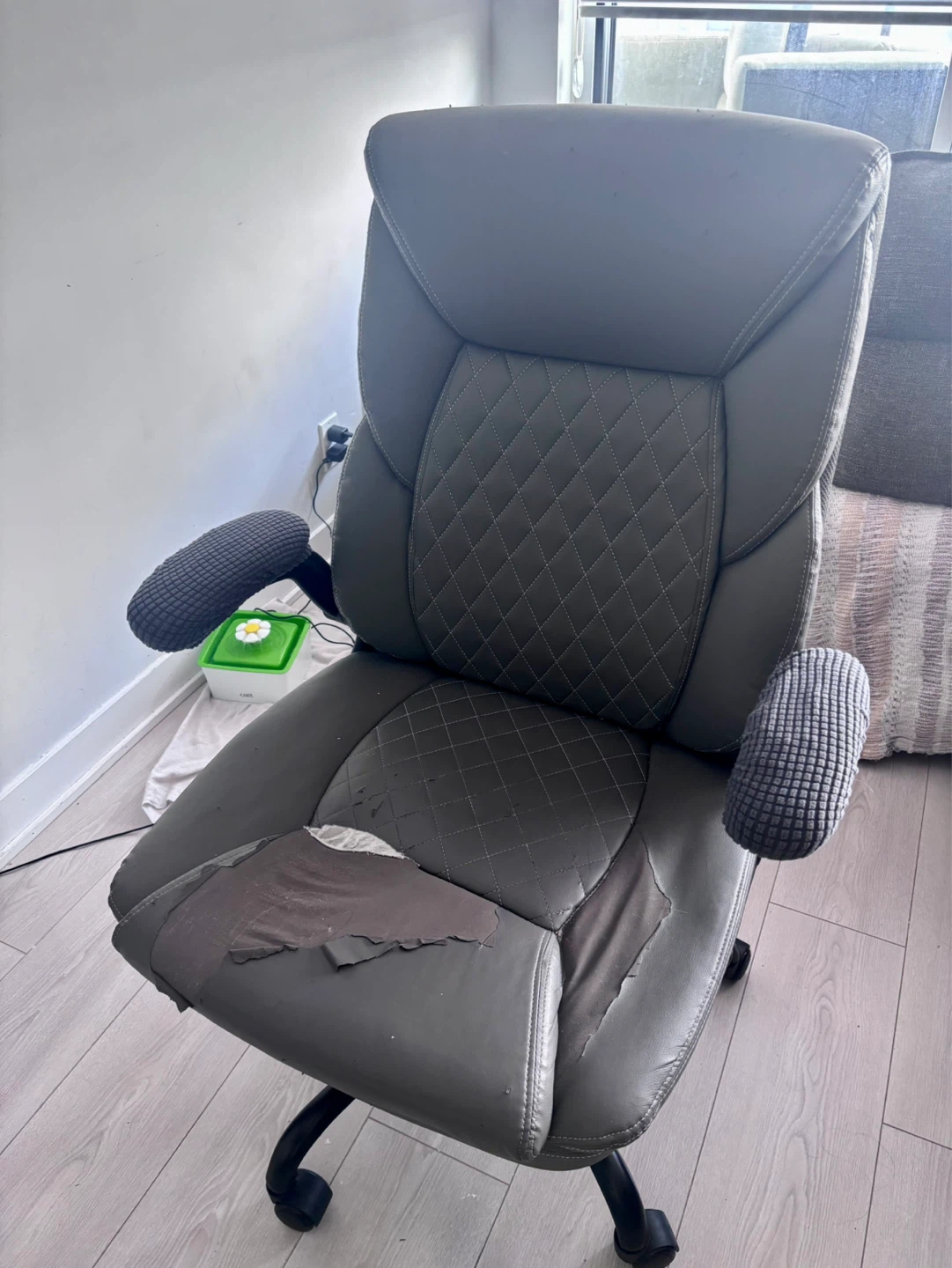 Free Office Chair — Good Bones, Cat-Loved - photo 2